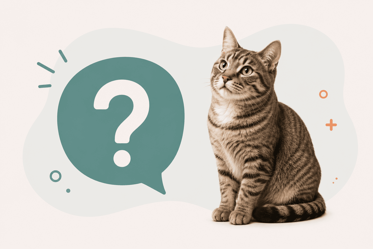 Illustrazione: domanda al veterinario